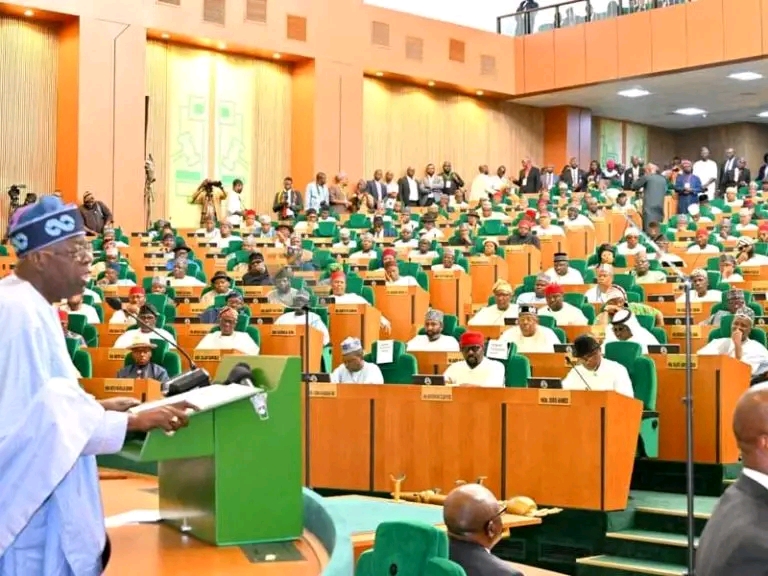 Nigeria's Democracy Nosediving, Reps Group Warns